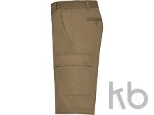 Шорты «Armour», мужские