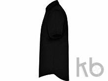 Рубашка «Aifos» мужская с коротким рукавом