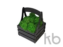 Композиция «Корзинка со мхом»