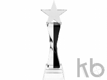 Награда «Звезда»