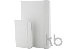 anti-bacterial notebook