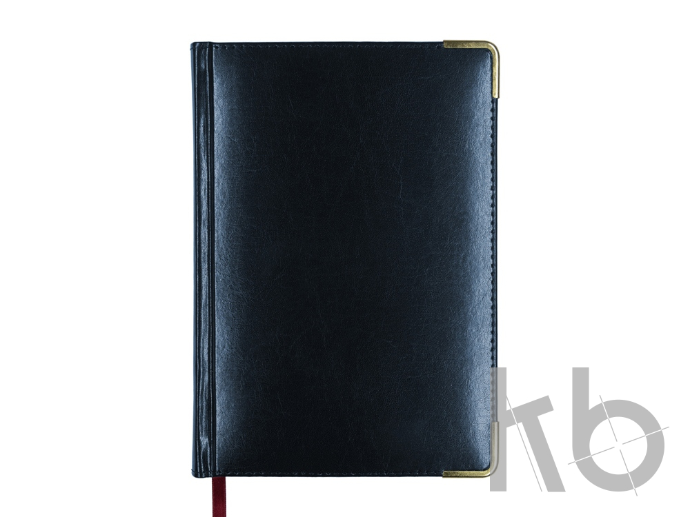 Ежедневник недатированный А5+ «Persona»