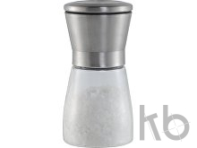 Stainless steel salt and pepper mill