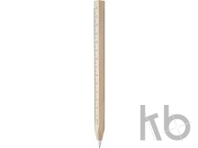 ballpoint pen with ruler