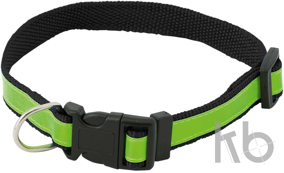 visibility dog's collar