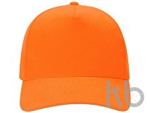 Бейсболка «Florida 350»