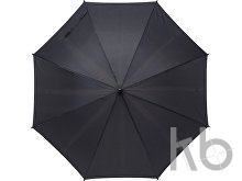 RPET pongee (190T) umbrella