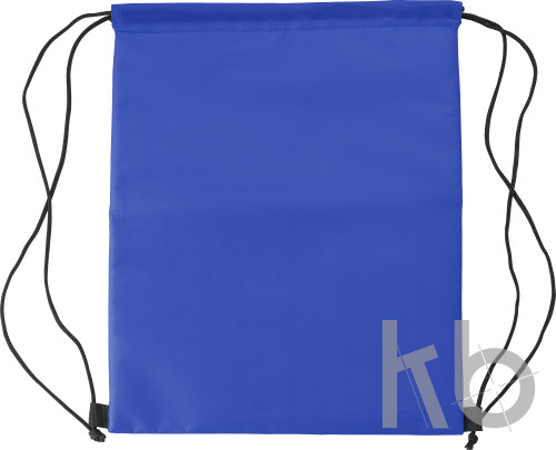 Polyester (210D) cooler bag