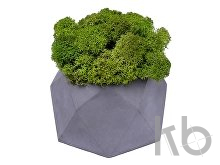 Кашпо бетонное со мхом «Бета»