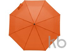 Polyester (170T) umbrella