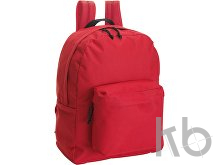 Polyester (600D) backpack