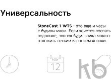 Метеостанция «StoneCast 1 WTS»