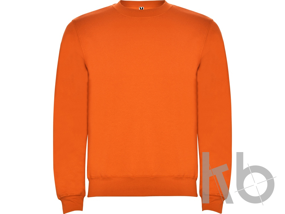 Свитшот с начесом «Clasica» унисекс