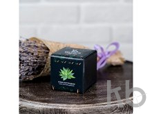 Набор для выращивания «Small village cube «Агава Благородная»