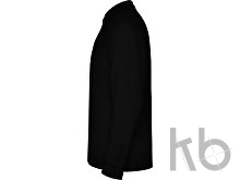 Рубашка поло «Estrella» мужская с длинным рукавом