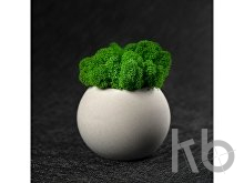 Кашпо бетонное со мхом «Сфера»