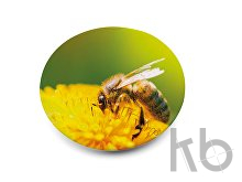 Магнитная кнопка