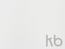 Футболка «Rotterdam» мужская