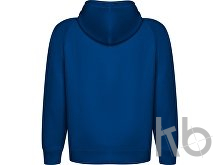 Толстовка с капюшоном «Vinson» унисекс