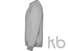 Свитшот с начесом «Clasica» унисекс