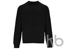 Свитшот «Teleno», унисекс