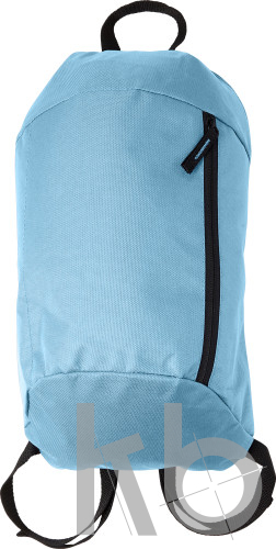 Polyester (210D) backpack