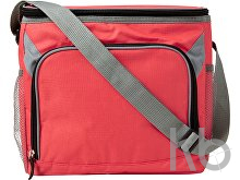 Polyester (600D) cooler bag