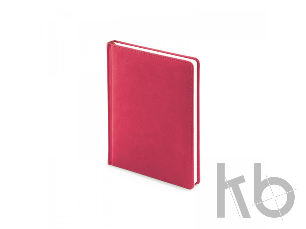 Ежедневник недатированный А6+ «Velvet»