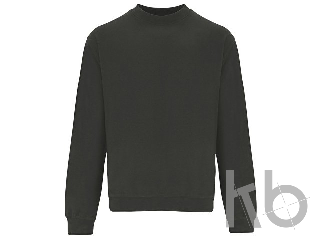 Свитшот «Teleno», унисекс