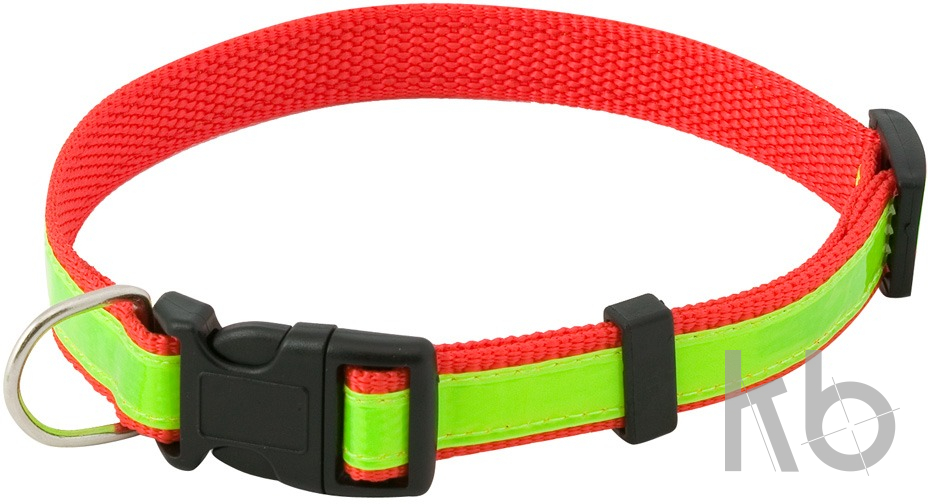 visibility dog's collar