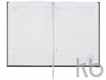 Ежедневник недатированный А5 «Probe AR»