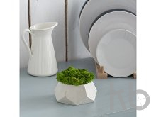 Кашпо бетонное со мхом «Альфа»