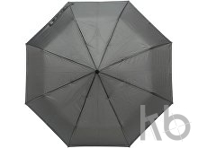 Pongee umbrella