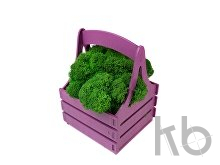 Композиция «Корзинка со мхом»