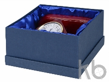 Погодная станция  «Бристоль»