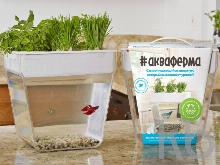 Набор для выращивания растений и ухода за рыбкой «Акваферма»