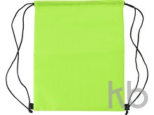 Polyester (210D) cooler bag