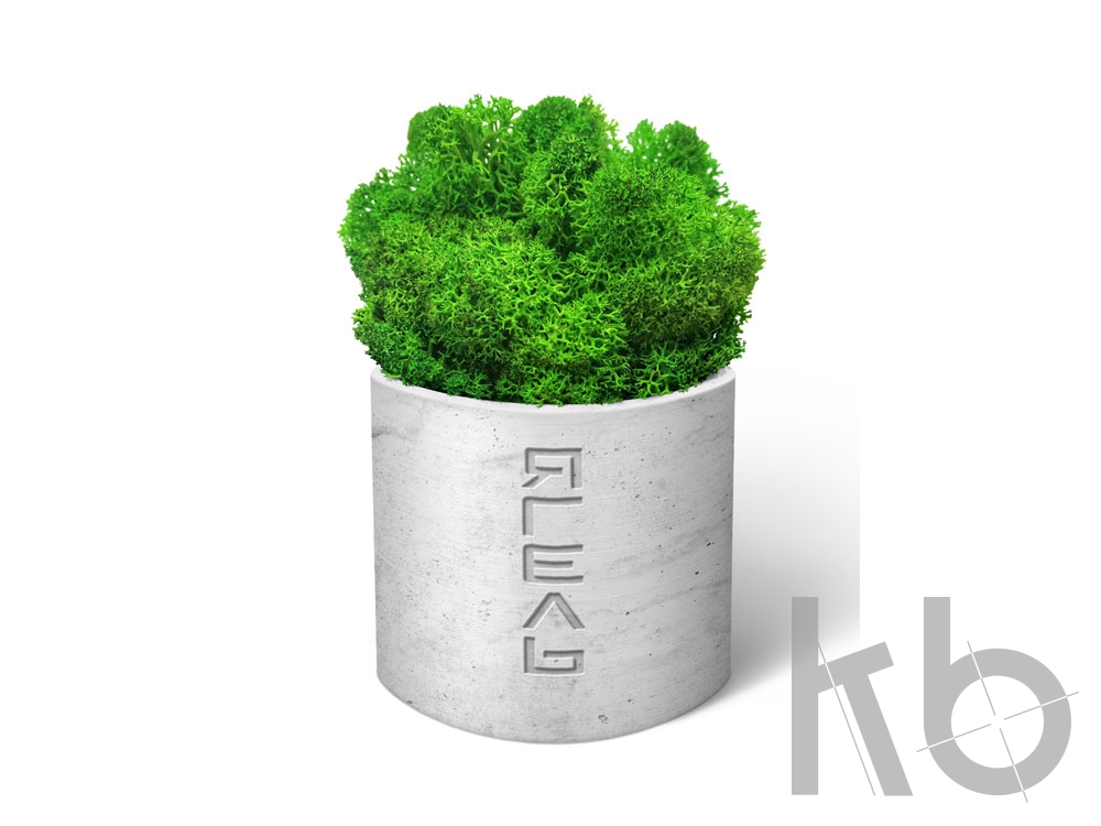 Мох Ягель натуральный