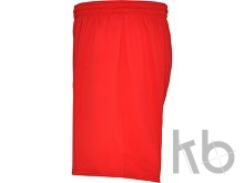 Спортивные шорты «Calcio» мужские