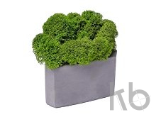 Кашпо бетонное со мхом «Гама»