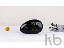 Метеостанция «StoneCast 2 WTS»