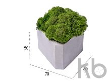 Кашпо бетонное со мхом «Гама»