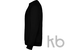 Свитшот с начесом «Clasica» унисекс