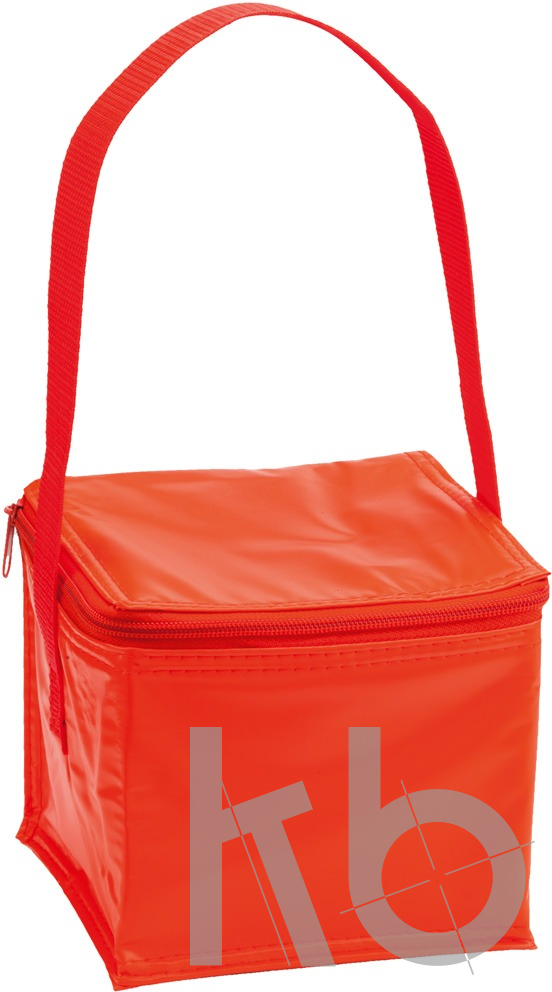 cooler bag