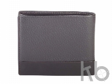 Кошелек «Nueva FV»