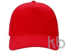 Бейсболка «Florida 350»