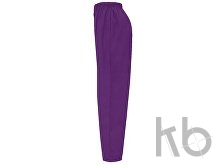 Брюки «Vademecum», унисекс