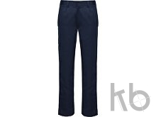 Брюки «Daily next», мужские