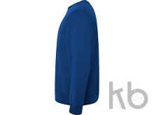 Свитшот из органического хлопка «Batian», унисекс