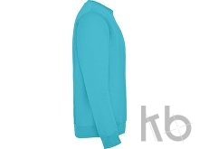 Свитшот с начесом «Clasica» унисекс